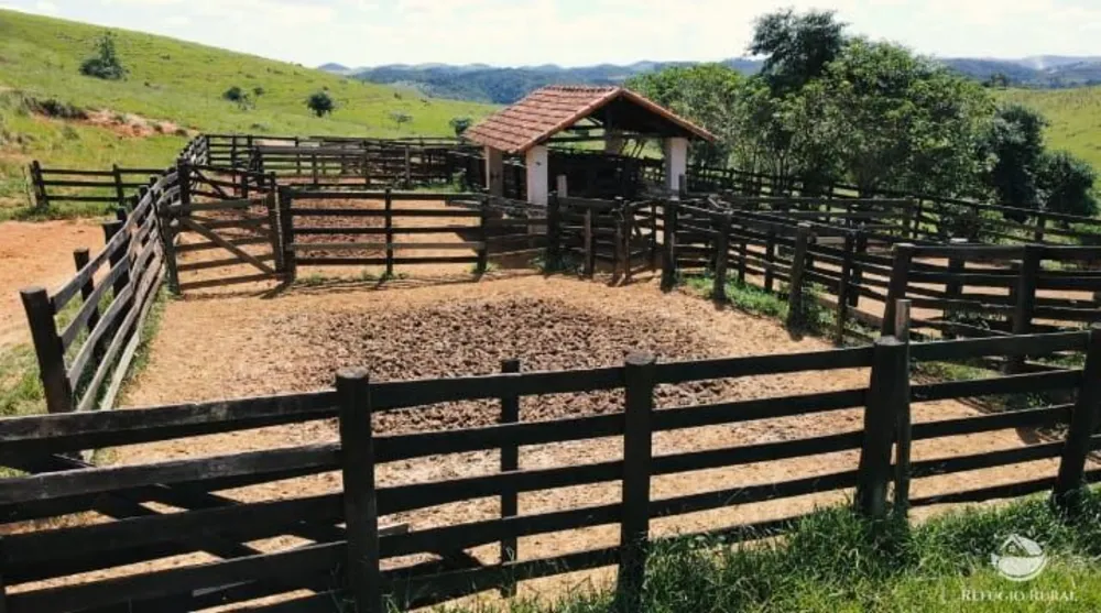 Fazenda, 316 hectares - Foto 8