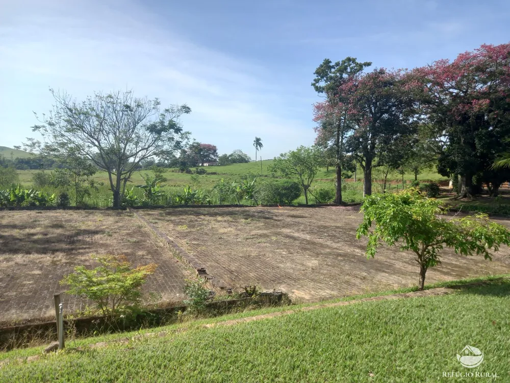 Fazenda, 34 hectares - Foto 7