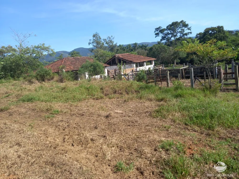Fazenda, 34 hectares - Foto 20
