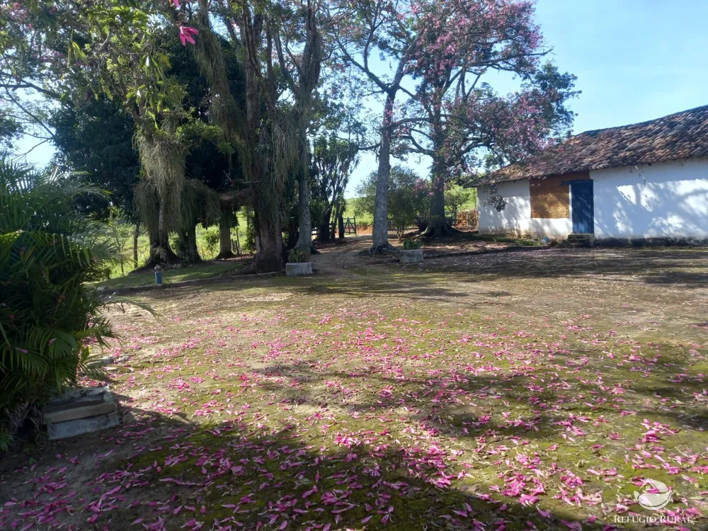 Fazenda, 34 hectares - Foto 2
