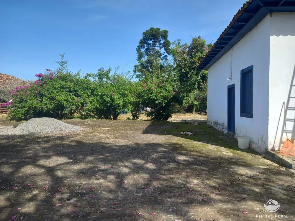 Fazenda, 34 hectares - Foto 15