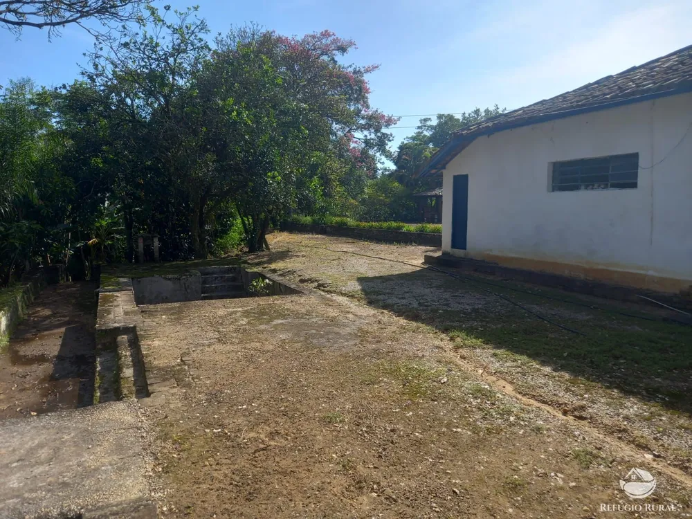 Fazenda, 34 hectares - Foto 12