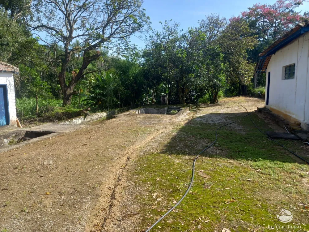 Fazenda, 34 hectares - Foto 13