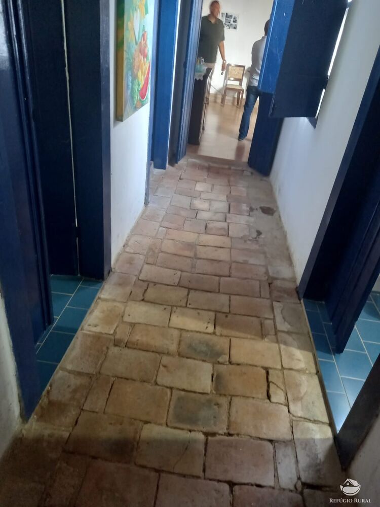 Fazenda, 34 hectares - Foto 4