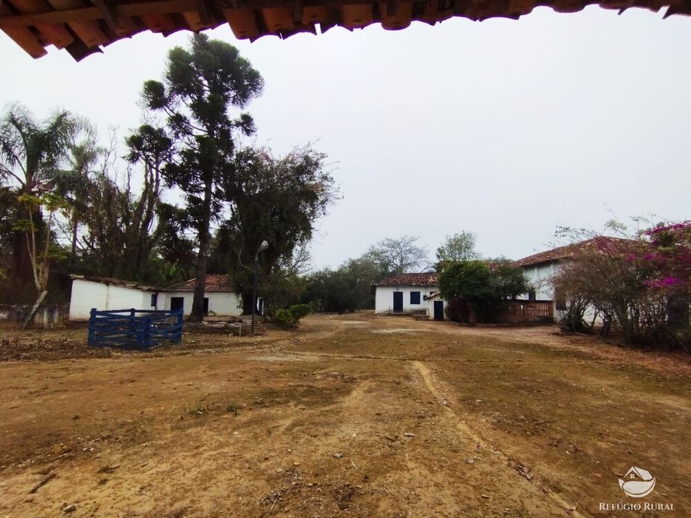 Fazenda, 34 hectares - Foto 14