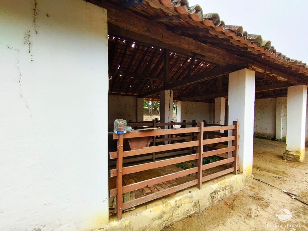 Fazenda, 34 hectares - Foto 15