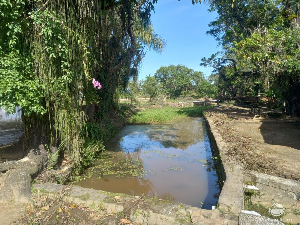 Fazenda, 34 hectares - Foto 2