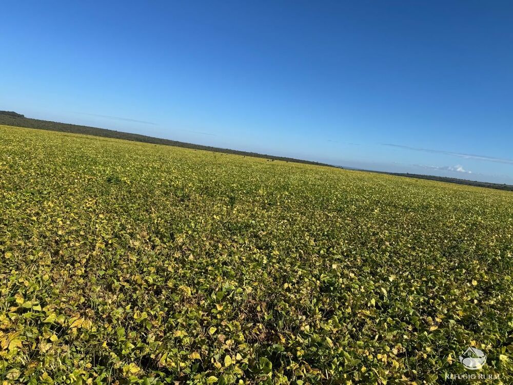 Fazenda, 2623 hectares - Foto 8