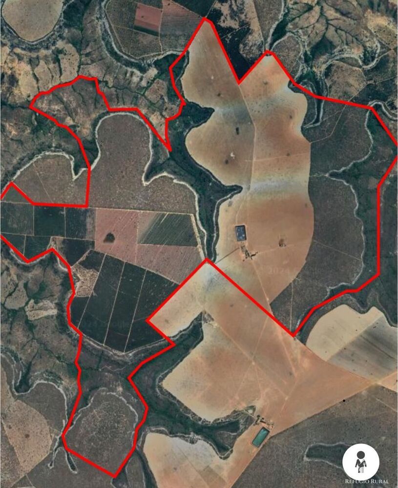 Fazenda, 2623 hectares - Foto 12