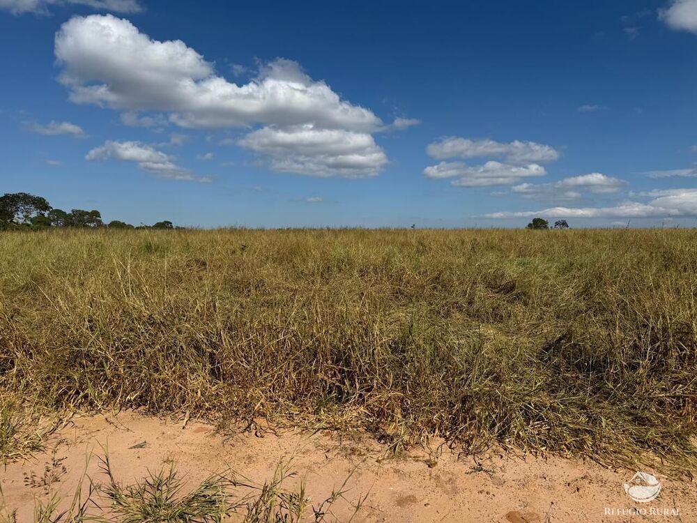 Fazenda, 2623 hectares - Foto 10