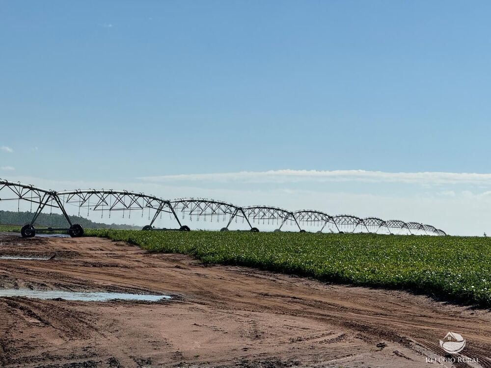 Fazenda, 2623 hectares - Foto 4
