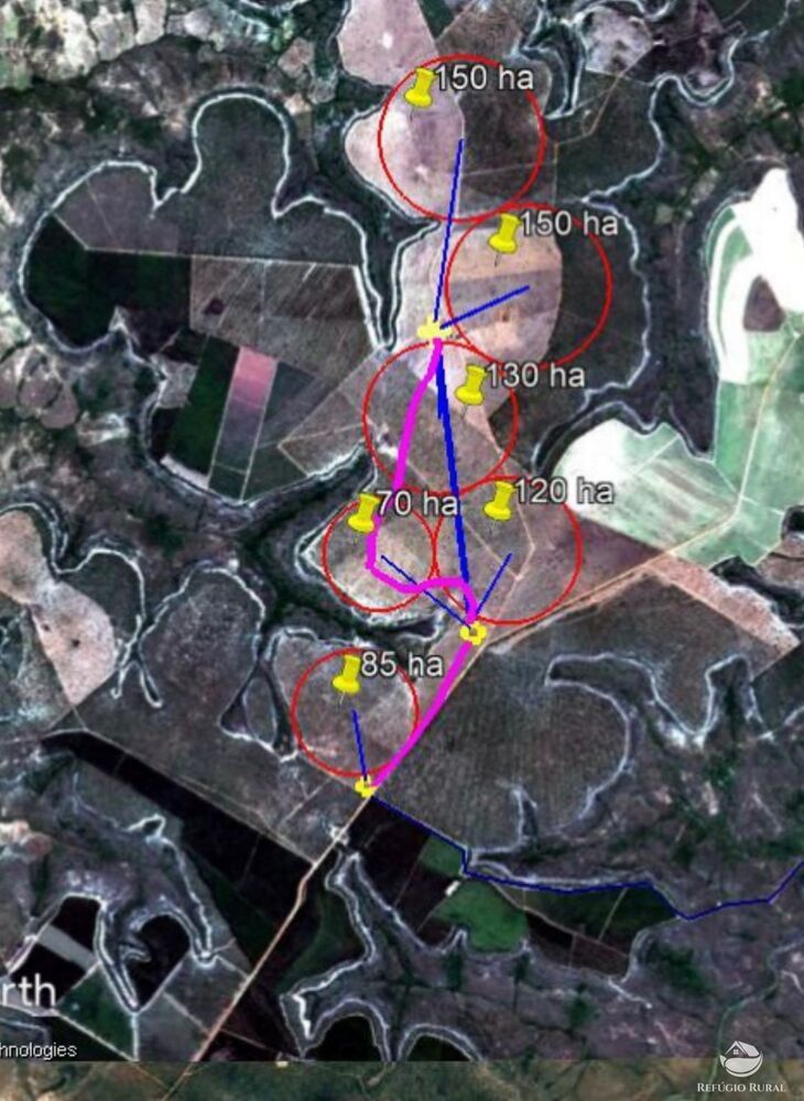 Fazenda, 2623 hectares - Foto 11