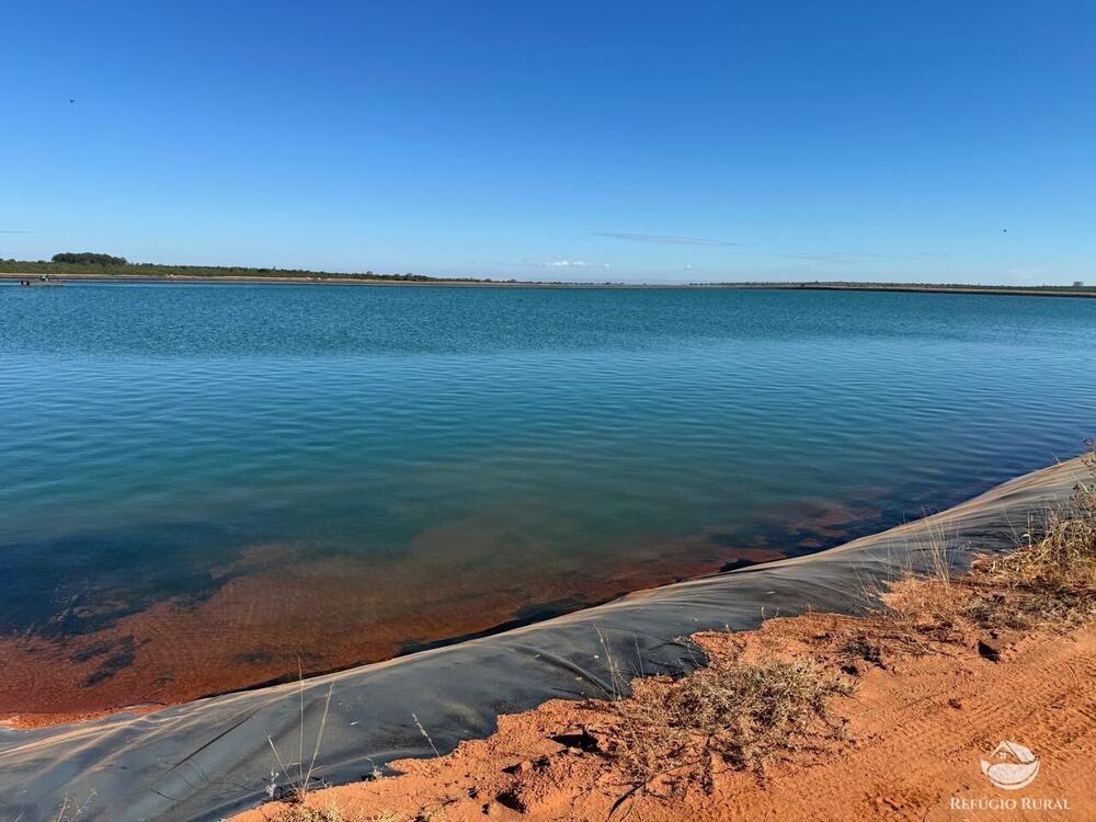 Fazenda, 2623 hectares - Foto 3