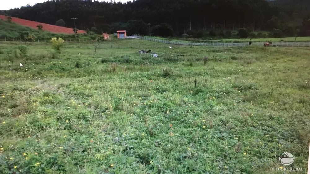 Fazenda, 99 hectares - Foto 1