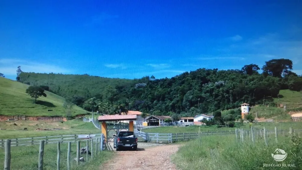 Fazenda, 99 hectares - Foto 7