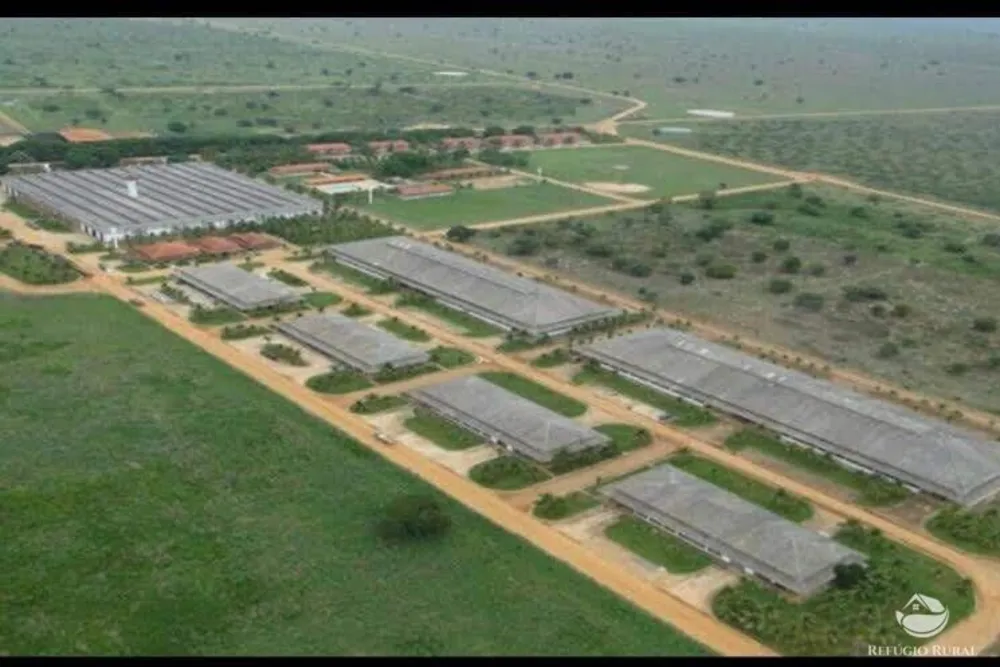 Fazenda, 234900 hectares - Foto 9