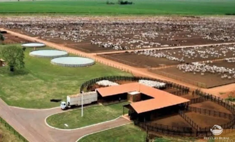 Fazenda, 234900 hectares - Foto 13