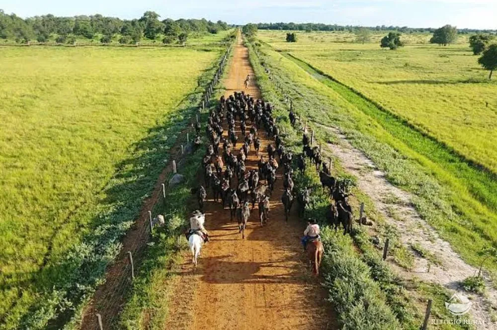 Fazenda, 234900 hectares - Foto 16