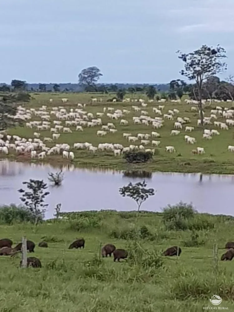 Fazenda, 234900 hectares - Foto 15