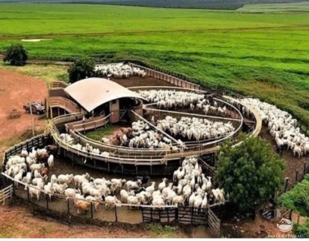 Fazenda, 234900 hectares - Foto 6