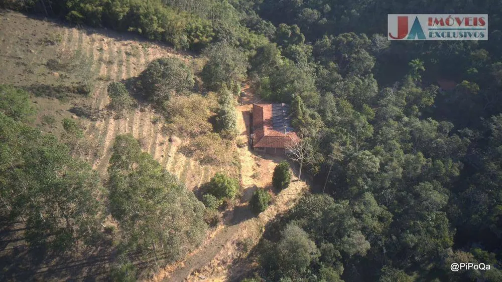 Fazenda, 90 hectares - Foto 3