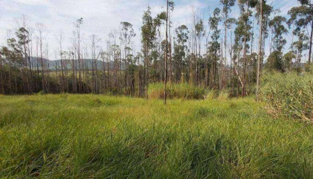 Terreno, 4 hectares - Foto 3