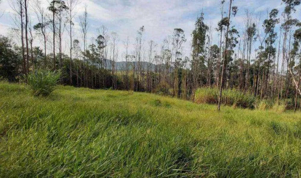 Terreno, 4 hectares - Foto 7
