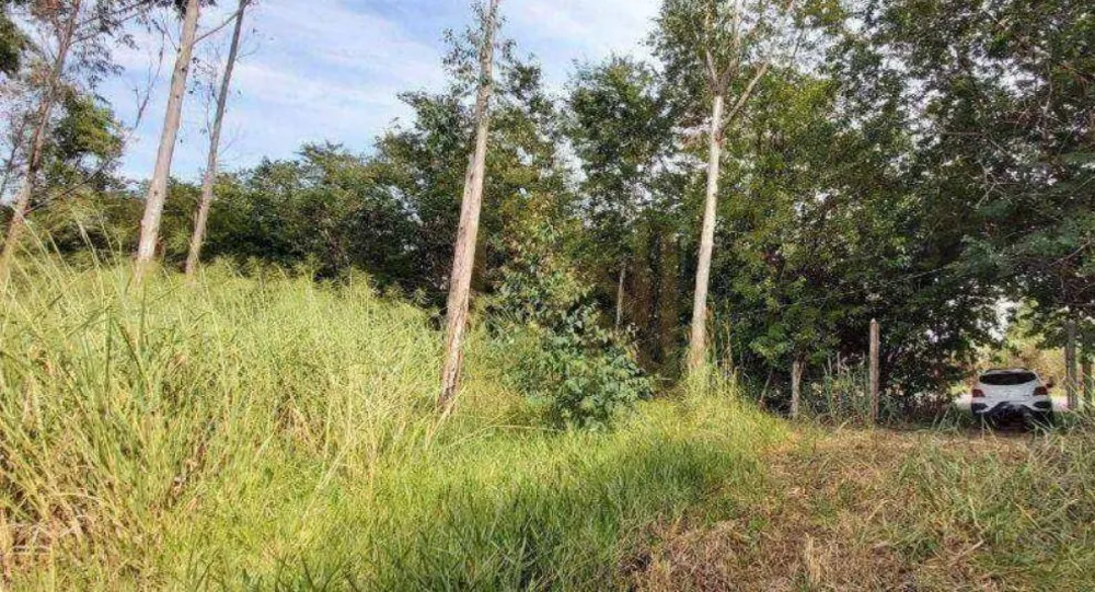 Terreno, 4 hectares - Foto 11