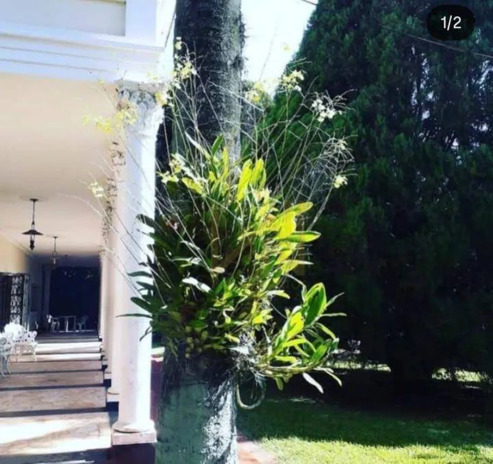 Casa, 4 quartos, 610 m² - Foto 2