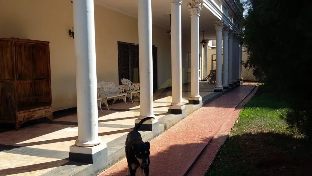 Casa, 4 quartos, 610 m² - Foto 6