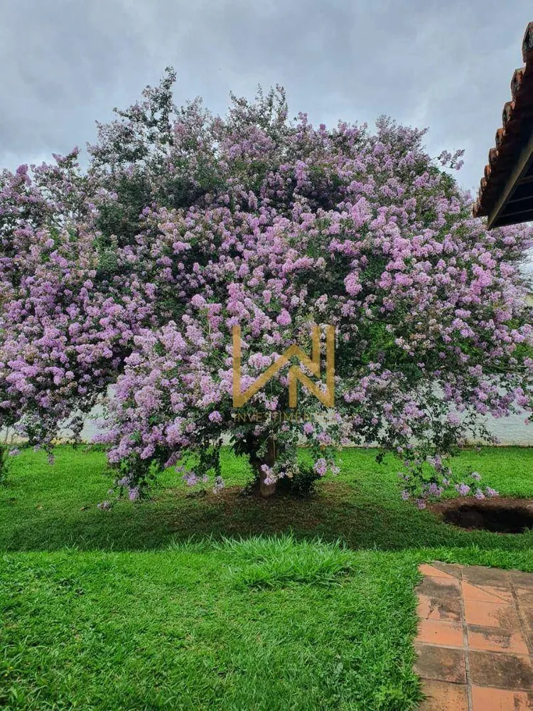 Chácara, 3 quartos, 4400 m² - Foto 3