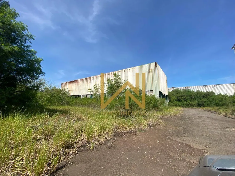 Terreno, 10 hectares - Foto 4