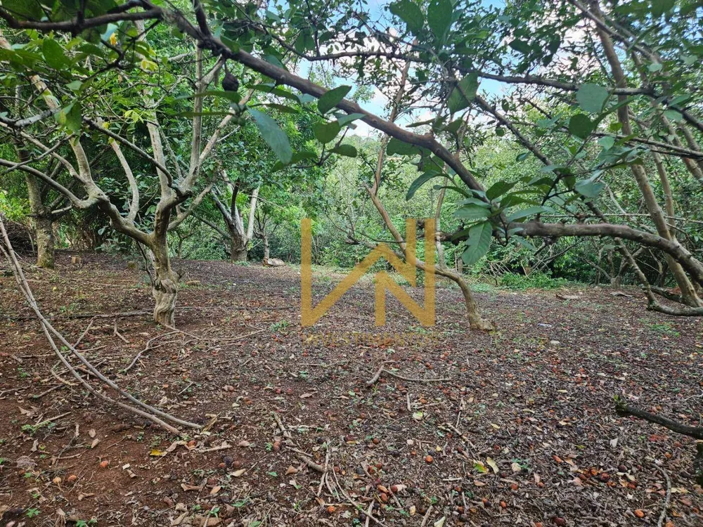 Chácara, 2 quartos, 3 hectares - Foto 7
