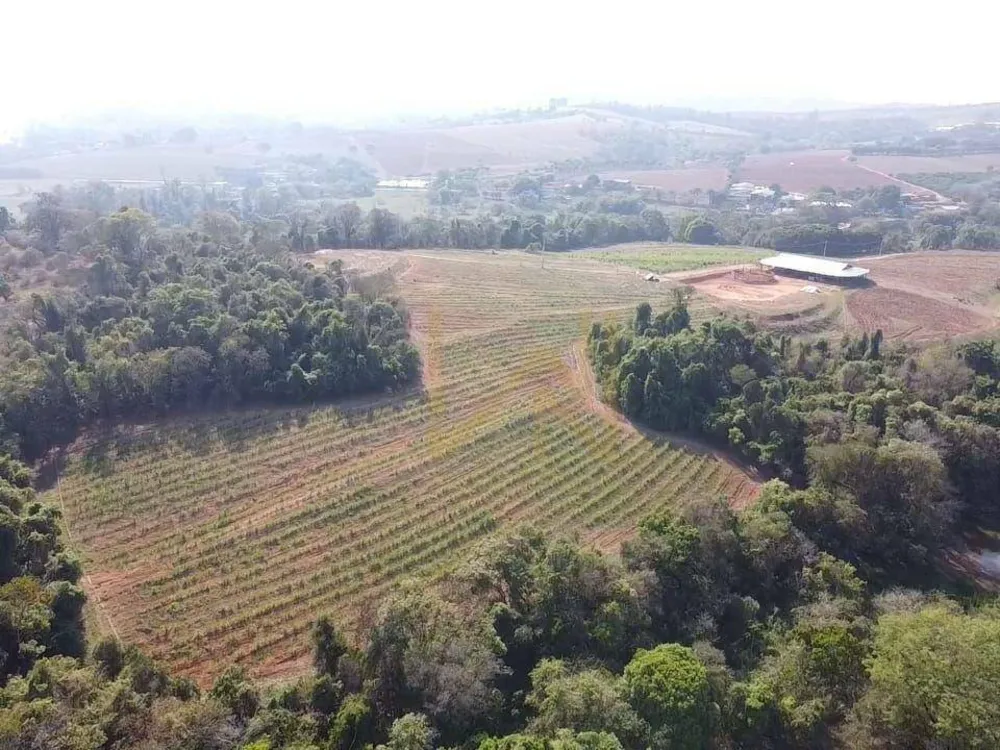 Sítio, 10 hectares - Foto 12