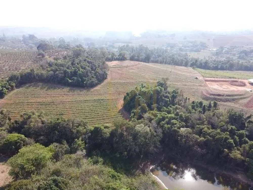 Sítio, 10 hectares - Foto 7