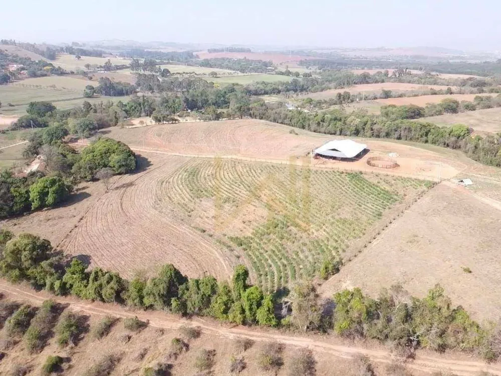 Sítio, 10 hectares - Foto 10