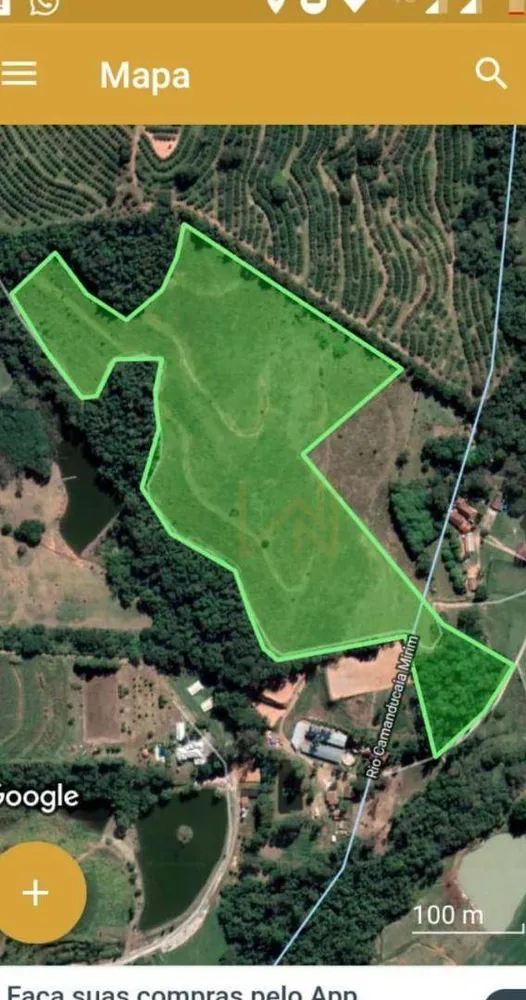 Sítio, 10 hectares - Foto 4