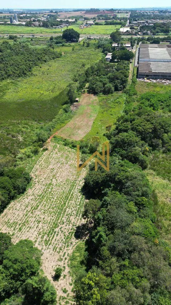 Terreno, 2 hectares - Foto 1