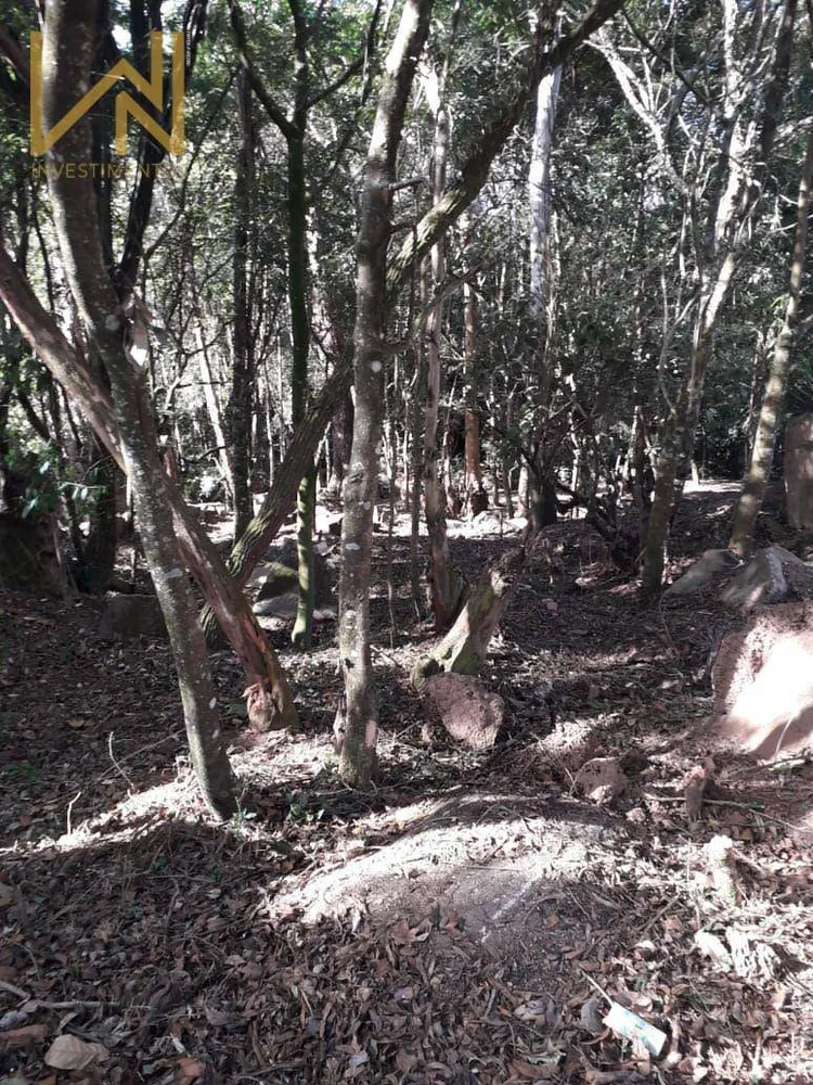 Terreno, 1000 m² - Foto 2