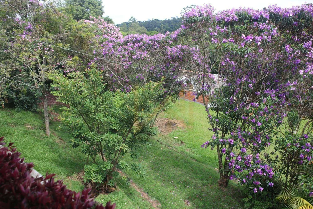 Chácara, 4 quartos, 1300 m² - Foto 2