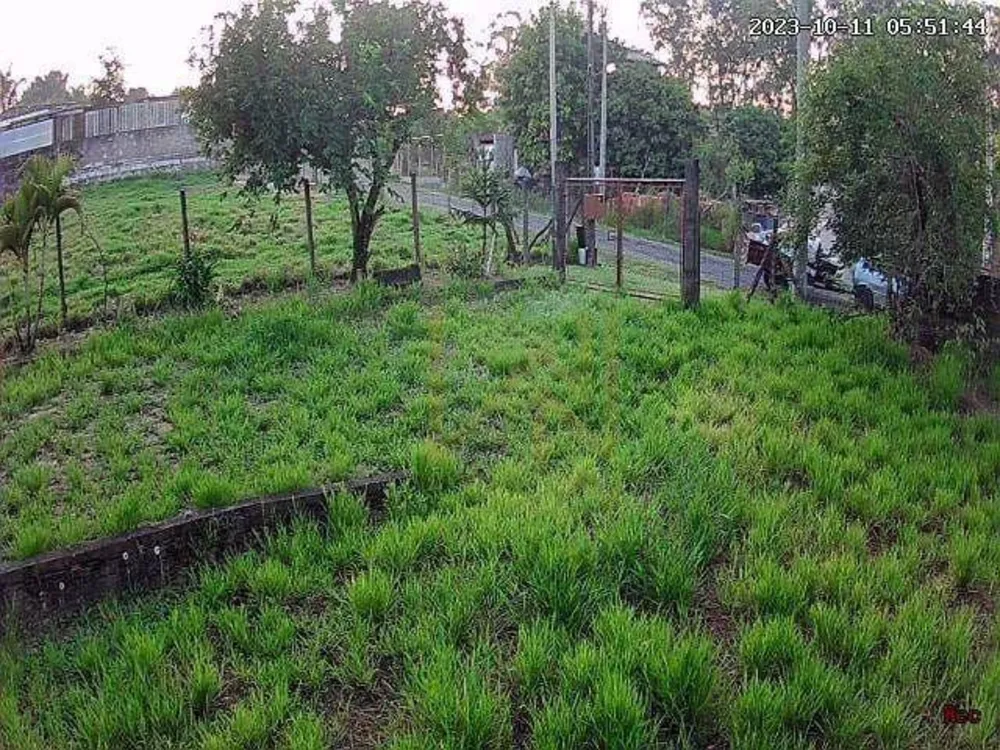 Chácara, 3 hectares - Foto 4
