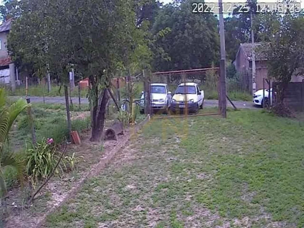 Chácara, 3 hectares - Foto 3