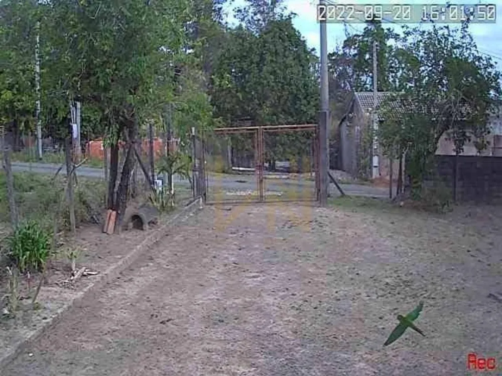 Chácara, 3 hectares - Foto 1