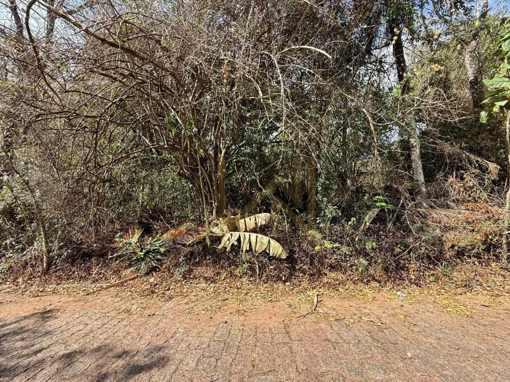 Terreno, 3686 m² - Foto 5