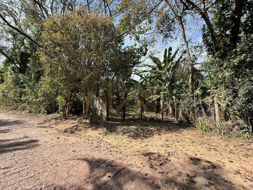 Terreno, 3686 m² - Foto 7