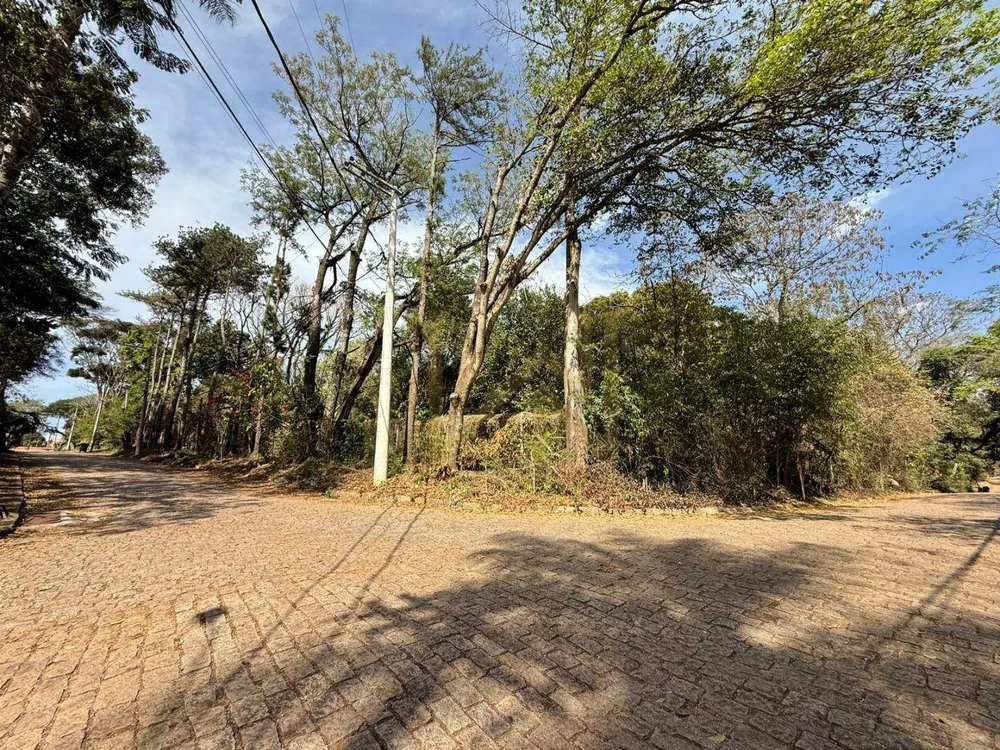 Terreno, 3686 m² - Foto 3
