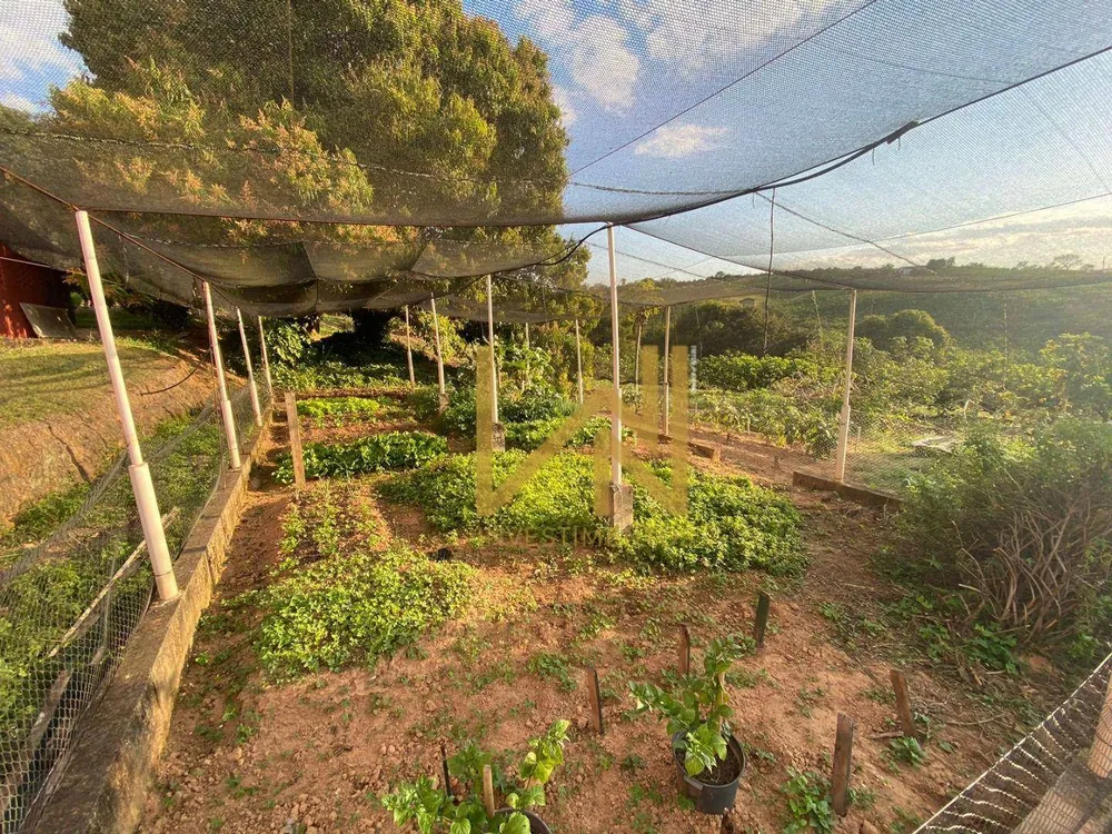 Chácara, 6 quartos, 2 hectares - Foto 12