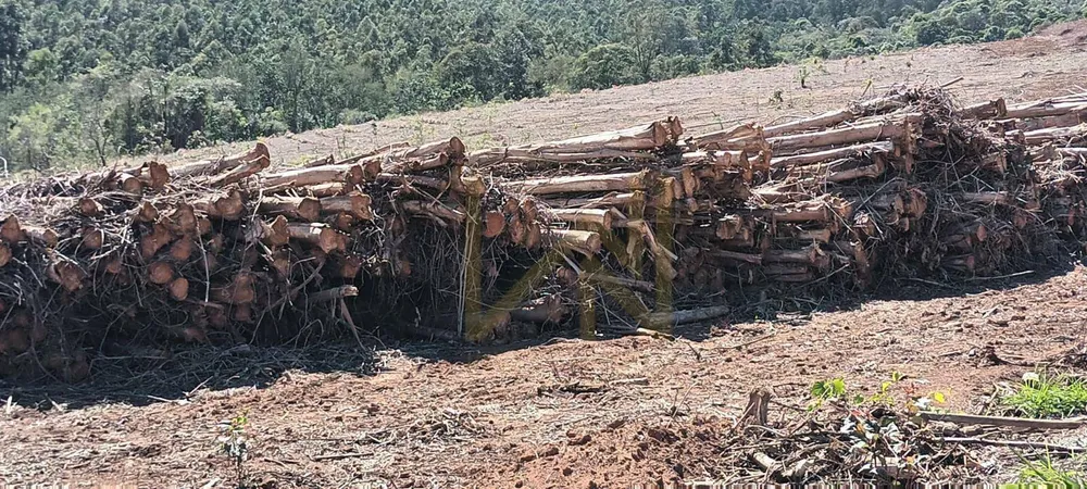 Fazenda, 89 hectares - Foto 4