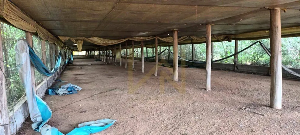 Fazenda, 89 hectares - Foto 2