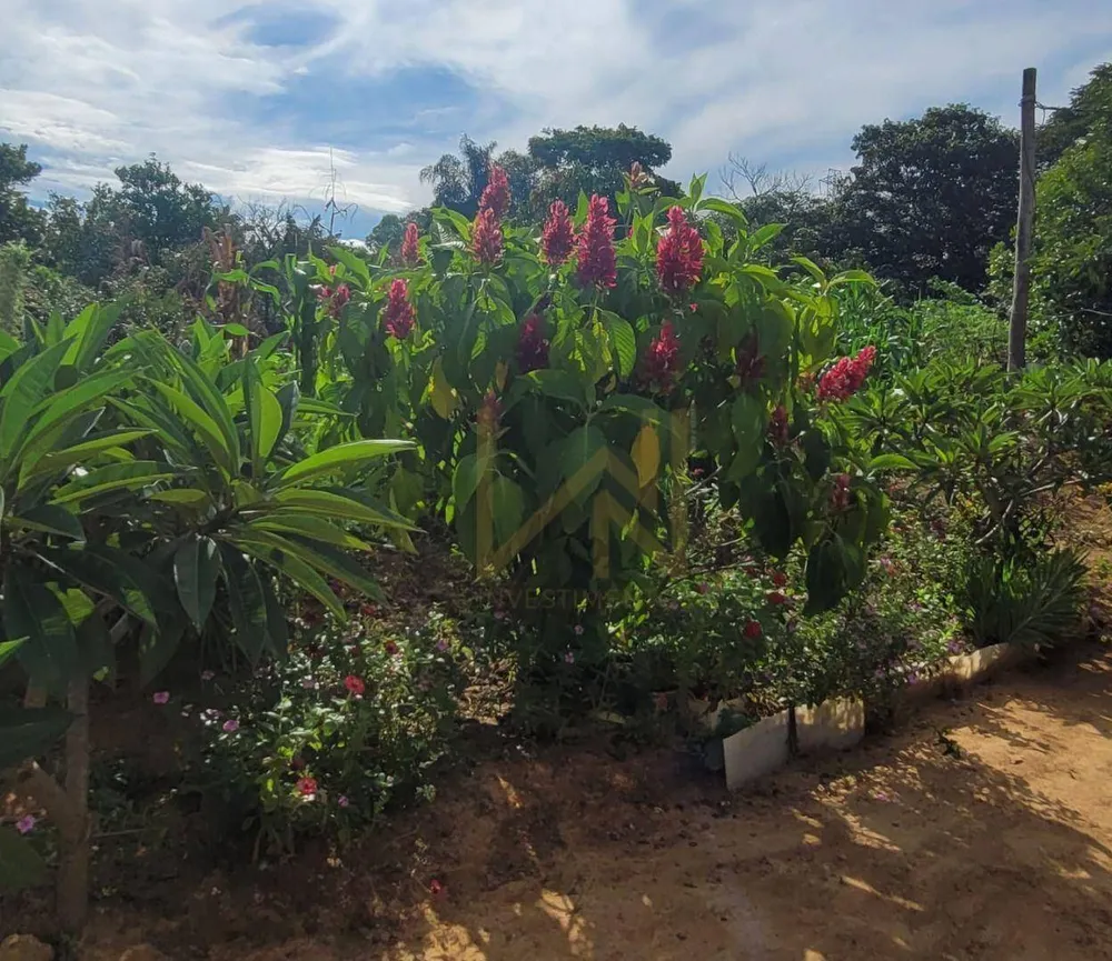 Terreno, 5 hectares - Foto 1